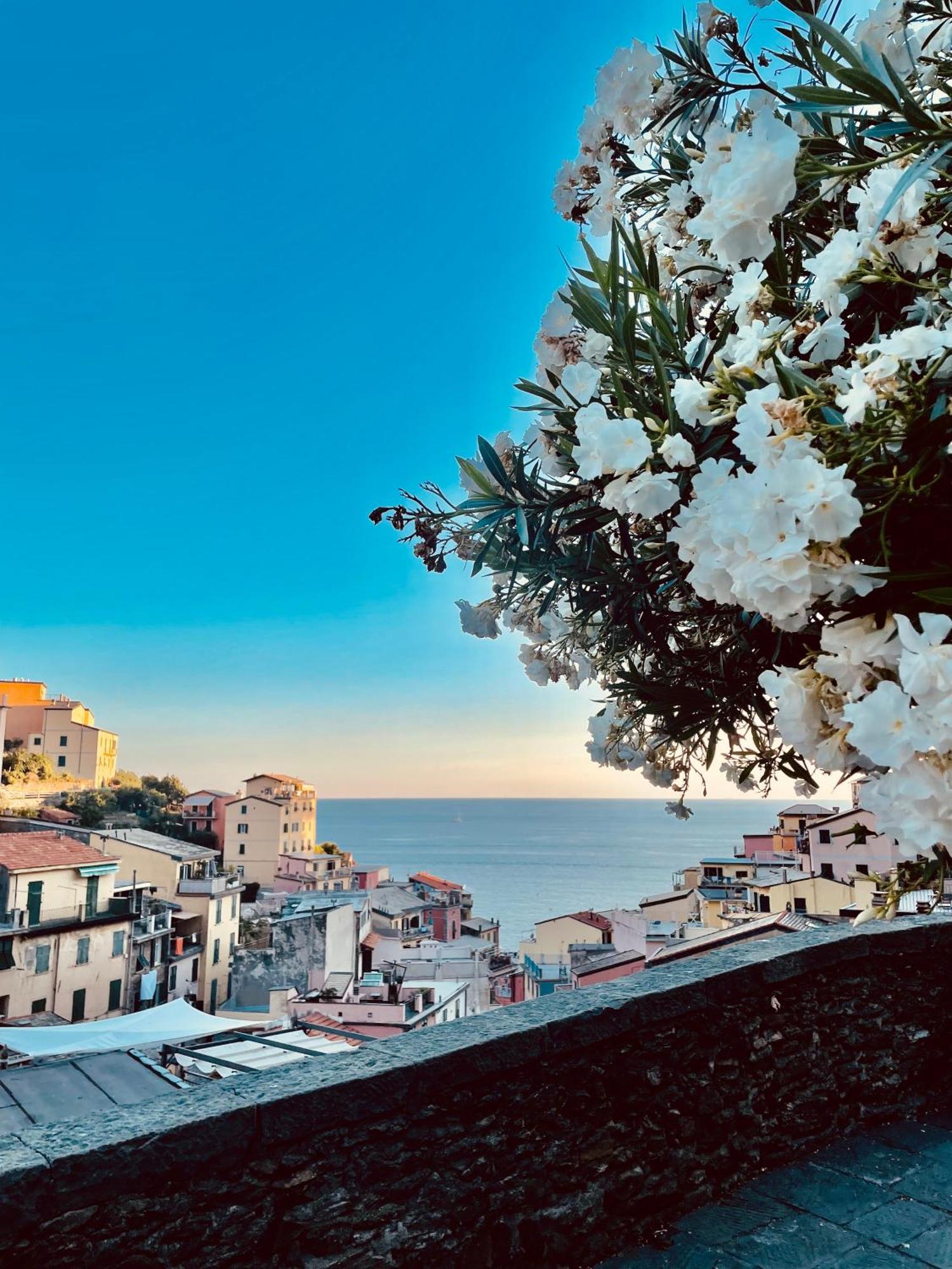 5Terreontherocks Riomaggiore Exterior photo